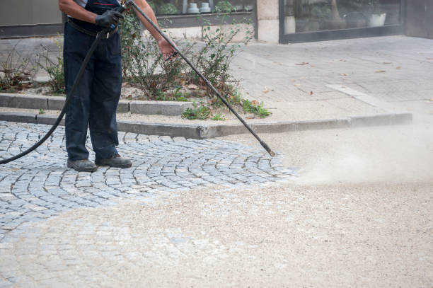 Animal Enclosure Cleaning in Mauston, WI